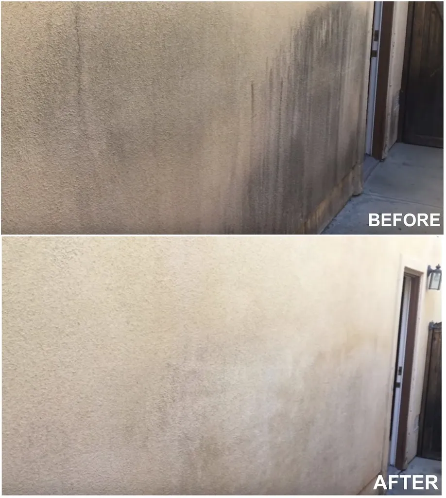 Siding before and after a soft wash